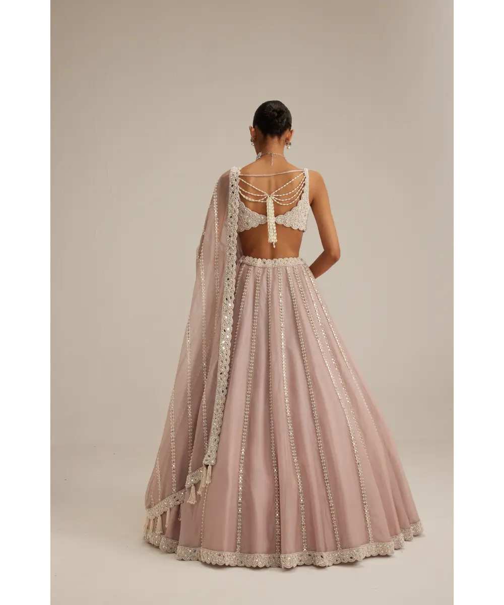 VVANI VATS- Ash Pink Pearl Mirror linear Lehenga with V neck Blouse
